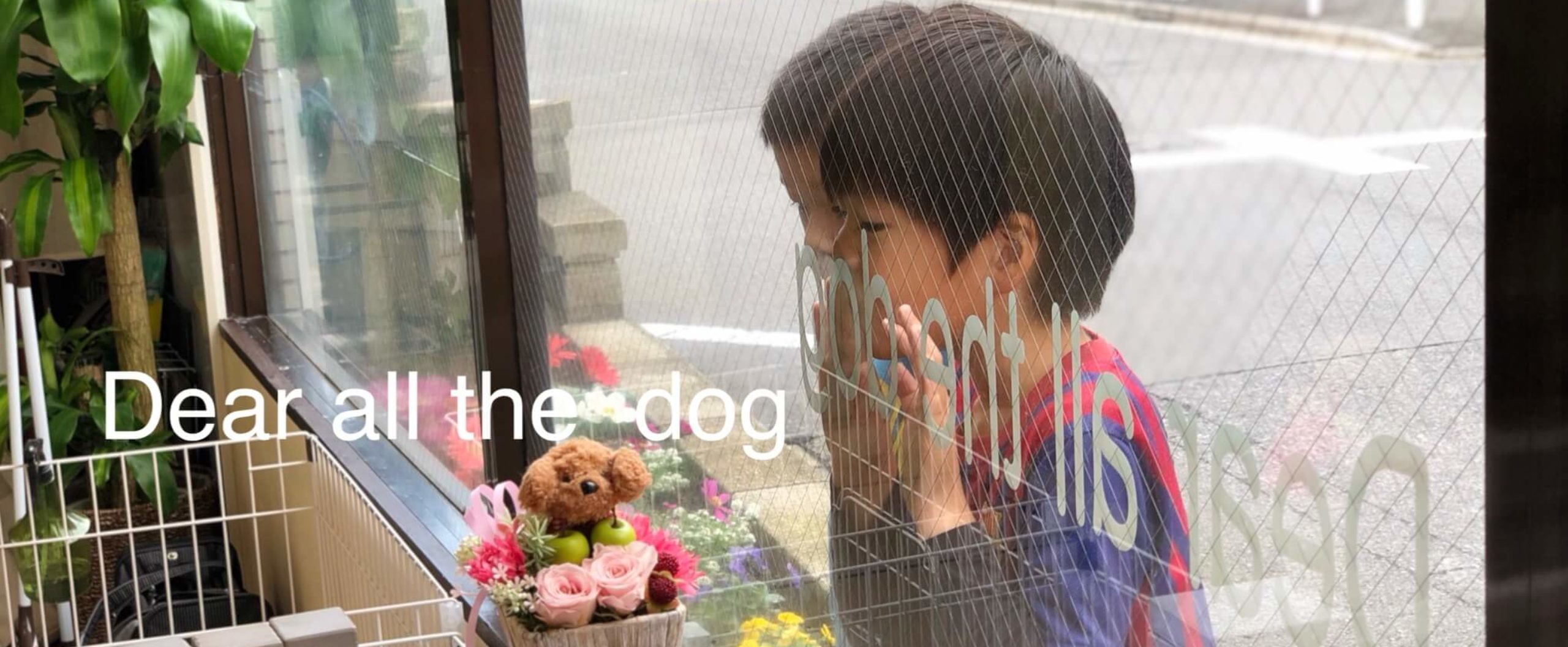 親愛なるすべての犬たちへ